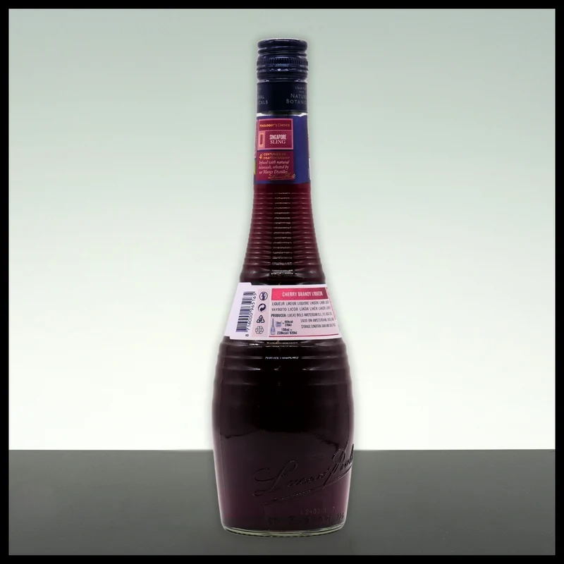 Bols Cherry Brandy Likör 0,7L - 24% Vol.