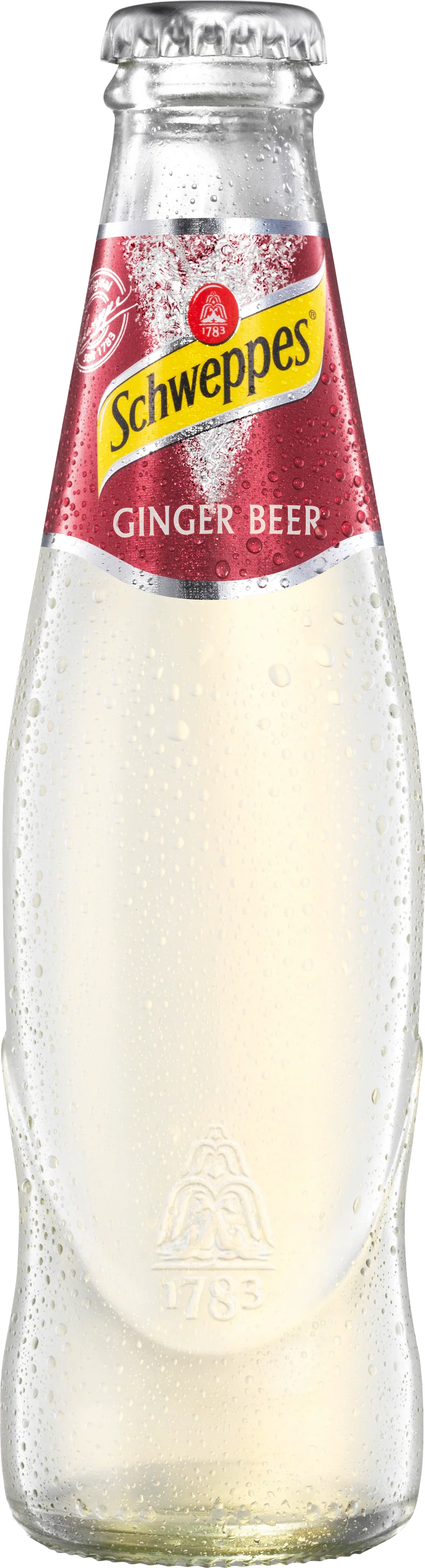 Schweppes Ginger Beer - 24 x 0,20 l