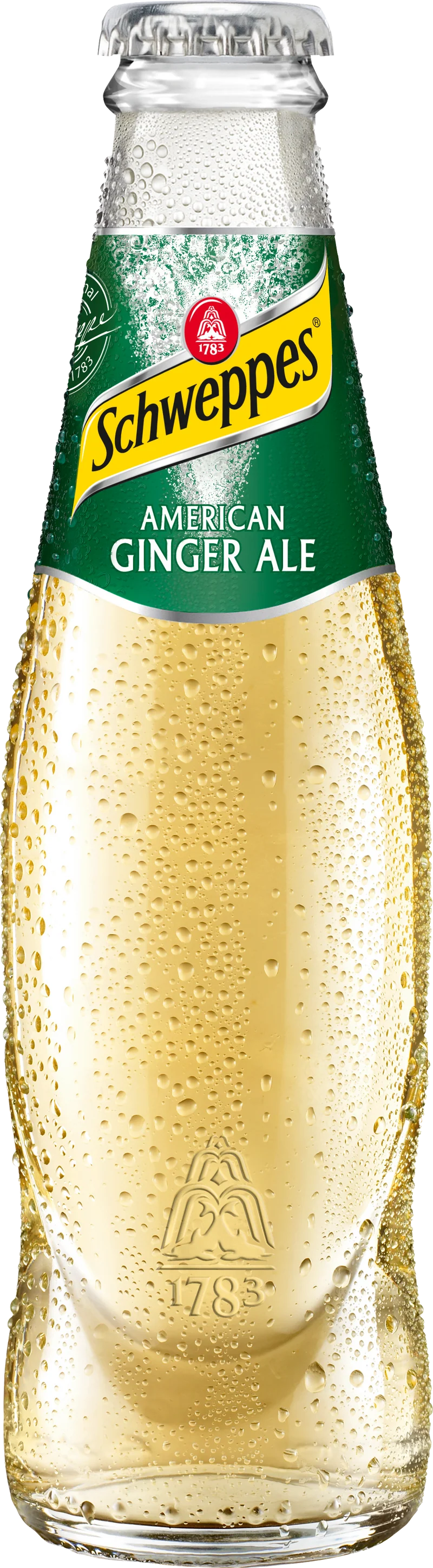 Schweppes American Ginger Ale - 24 x 0,20 l