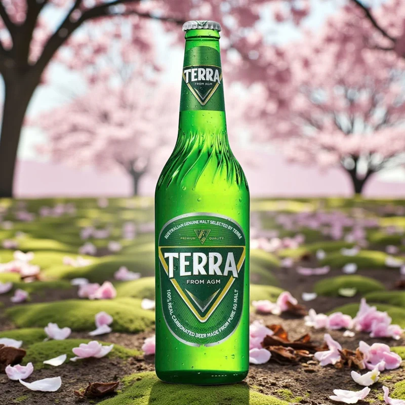 Terra Beer 0,33l – Südkoreas beliebtestes Lagerbier 4,6% Vol.