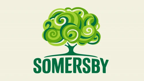 Somersby Mango & Lime Bier 0,4 l Flasche – Exotisch-fruchtiges Bier mit Mango & Limette